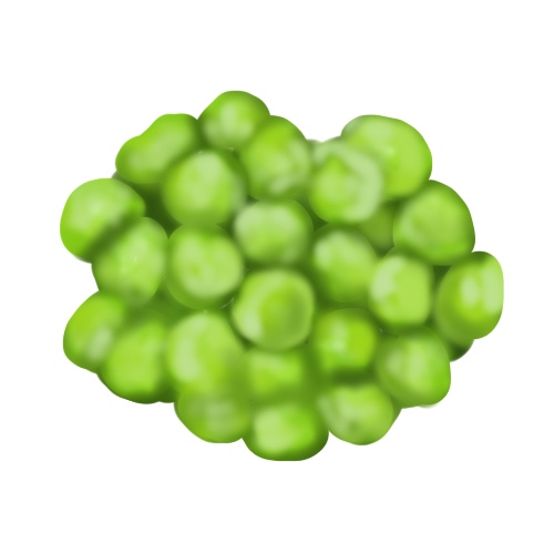 うぐいす豆のフリー画像
