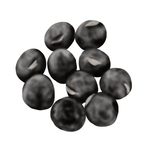 黒大豆のフリー画像
