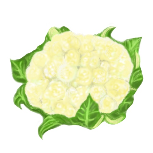 カリフラワーのフリー画像