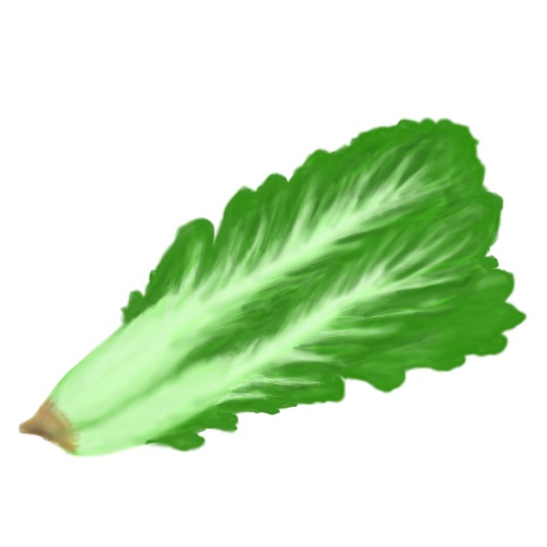 高菜のフリー画像