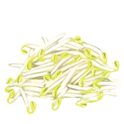 大豆もやしのフリー画像