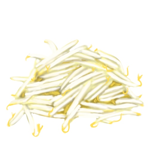 りょくとうもやしのフリー画像