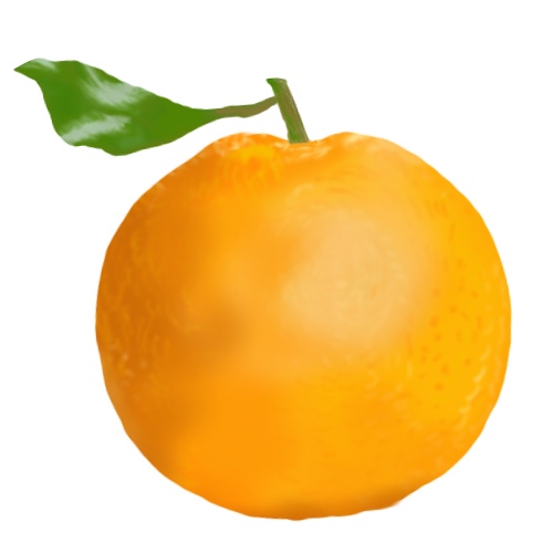 オレンジのフリー画像